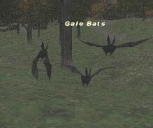Gale Bats Picture